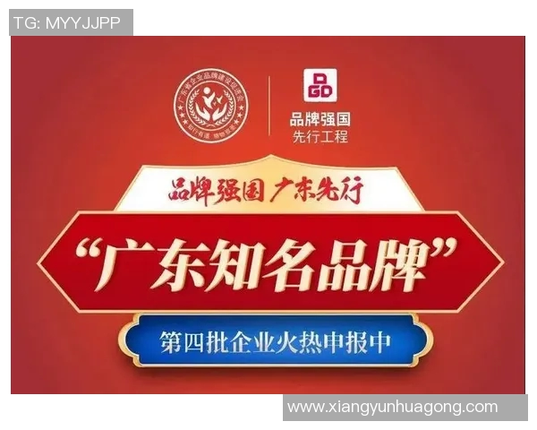 如何成功加盟体育运动品牌并实现盈利的全面指南