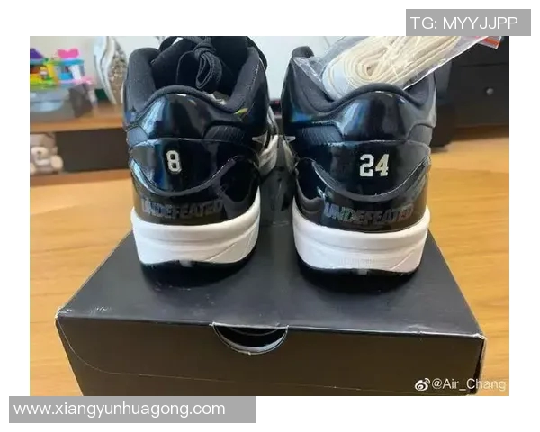 篮球明星哈森的传奇之路与他对篮球运动的深远影响